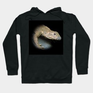 Iguana Hoodie